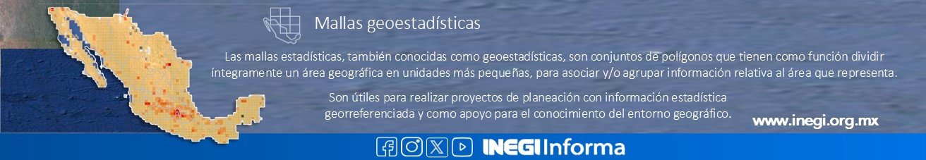 Malla Geosestadística y Encuestra Intercensal