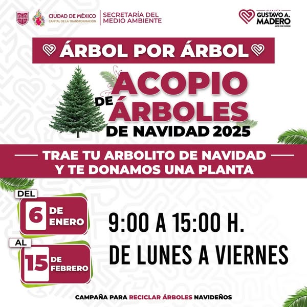 Programa ArbolXArbol